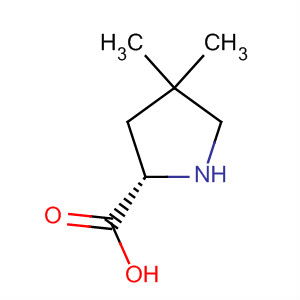 Structure of Proline, 4,4-dimethyl-