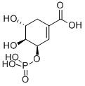 Structure of SHIKIMATE-3-PHOSPHATE