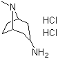 Structure of 8-Methyl-8-azabicyclo[3.2.1]octan-3-amine dihydrochloride