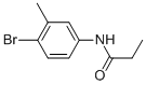 Structure of N-(4-bromo-3-methylphenyl)propanamide