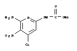 Structure of ethyl (6-amino-4-chloro-5-nitropyridin-2-yl)carbamate