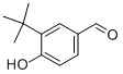 Structure of 3-(tert-butyl)-4-hydroxybenzaldehyde