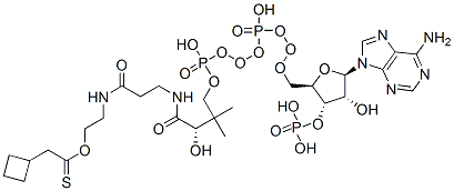 Structure of S-[2-[3-[[4-[[[(2R,3S,4R,5R)-5-(6-aminopurin-9-yl)-4-hydroxy-3-phosphonooxyoxolan-2-yl]methoxy-hydroxyphosphoryl]oxy-hydroxyphosphoryl]oxy-2-hydroxy-3,3-dimethylbutanoyl]amino]propanoylamino]ethyl] 2-cyclobutylethanethioate