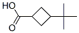 Structure of 3-tert-Butylcyclobutanecarboxylic acid