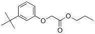 Structure of propyl [3-(1,1-dimethylethyl)phenoxy]acetate