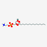 Structure of 2-Palmitoyl-sn-glycero-3-phosphocholine