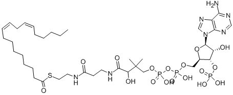 LINOLEOYL COENZYME A结构式