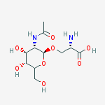 Structure of (2S)-3-[(2S,3S,4R,5R)-3-acetamido-4,5-dihydroxy-6-(hydroxymethyl)tetrahydropyran-2-yl]oxy-2-amino-propanoic acid