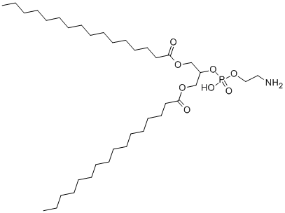 Structure of 1,3-DIPALMITOYL-GLYCERO-2-PHOSPHOETHANOLAMINE