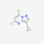 5,7-dichloro-3-cyclopropyl-Pyrazolo[1,5-a]pyrimidine结构式