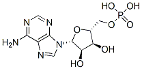 Structure of 2(3)-AMP