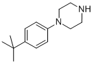 Structure of 1-(4-TERT-BUTYLPHENYL)PIPERAZINE