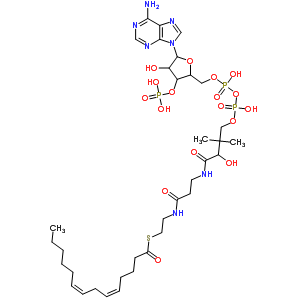 Structure of 5-cis-8-cis-Tetradecadienoyl-CoA