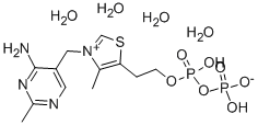 Structure of Cocarboxylase tetrahydrate