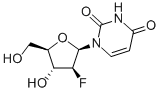 Structure of 1-(2-Deoxy-2-fluoro-beta-D-arabinofuranosyl)uracil