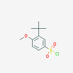 3-tert-butyl-4-methoxybenzenesulfonyl chloride结构式