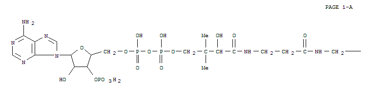 Structure of 4-cis-Decenoyl-CoA