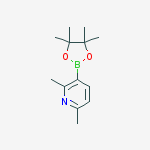 Structure of 2,6-Dimethylpyridine-3-boronic acid pinacol ester