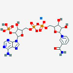 Structure of B-NICOTINAMIDE ADENINE DINUCLEOTIDE*PHOS PHATE SODIU