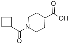 Structure of 1-(cyclobutylcarbonyl)piperidine-4-carboxylic acid