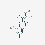 Structure of Methyl 4-(2,3-dihydroxy-5-methylphenoxy)-2-hydroxy-6-methylbenzoate
