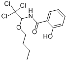Structure of TRICHLAMIDE