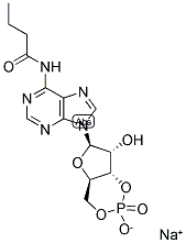 Structure of n6-monobutyryladenosine-3’,5’-cyclicmonophosphate,sodiumsalt(6-mb-camp)