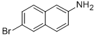 N,N-二甲基烷基-C10-16-胺-N-氧化物结构式