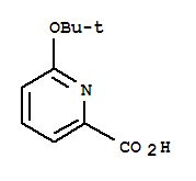 Structure of 2-Pyridinecarboxylicacid, 6-(1,1-dimethylethoxy)-