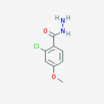 Structure of 2-chloro-4-methoxybenzohydrazide