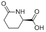 Structure of D-6-OXO-PIPECOLINIC ACID
