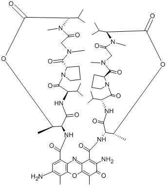 Structure of 7-AMINOACTINOMYCIN D