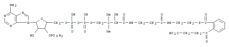 2-succinylbenzoyl-coenzyme A结构式