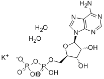 Structure of ADENOSINE 5-DIPHOSPHATE MONOPOTASSIUM SALT