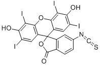 Structure of ERYTHROSIN B ISOTHIOCYANATE, ISOMER II