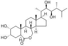Structure of Brassinolide