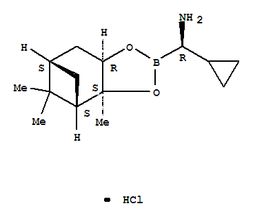 Structure of (R)-BoroCpg(+)-Pinanediol-HCl