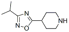 Structure of 4-(3-ISOPROPYL-1,2,4-OXADIAZOL-5-YL)PIPERIDINE