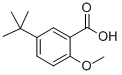 Structure of 4-TERT-BUTYL-2-ETHOXY-BENZOIC ACID