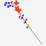 Structure of stearoyl-(1,N(6))-etheno-coenzyme A