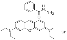 Structure of RHODAMINE B HYDRAZIDE