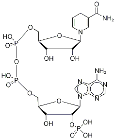 β-NADPH-D结构式