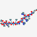 Structure of Dynorphin
