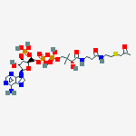 Structure of acetonyl-coenzyme A