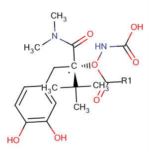 Structure of Carbamic acid,[(1S)-1-[(3,4-dihydroxyphenyl)methyl]-2-(dimethylamino)-2-oxoethyl]-,1,1-dimethylethyl ester