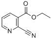 Structure of ETHYL 2-CYANOPYRIDINE-3-CARBOXYLATE