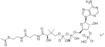 Structure of ACETYL COENZYME A TRILITHIUM SALT