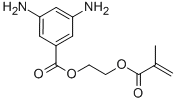 Structure of 2-(Methacryloyloxy)ethyl 3,5-diaminobenzoate, 99%