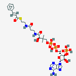 Structure of cinnamoyl-coenzyme A