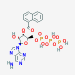 Structure of naphthoyl-ATP